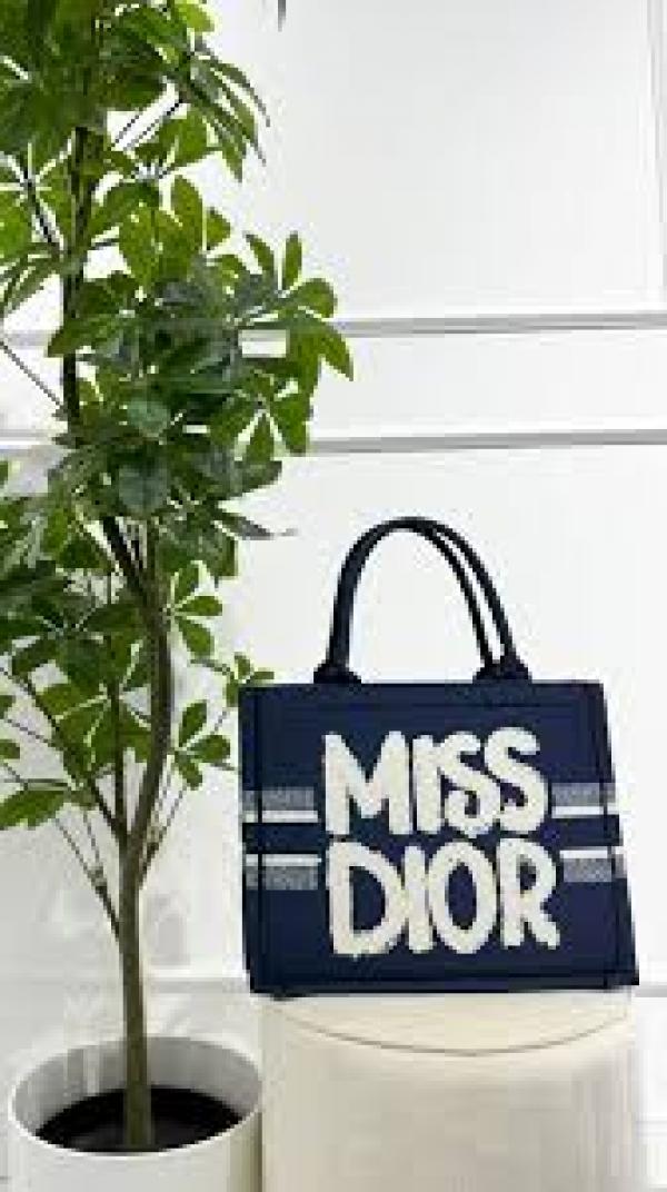 Miss dioor book tote with og box