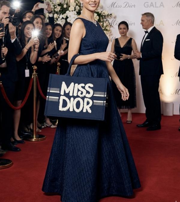 Miss dioor book tote with og box