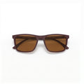 Emporio Armani Women`s Brown Sunglasses